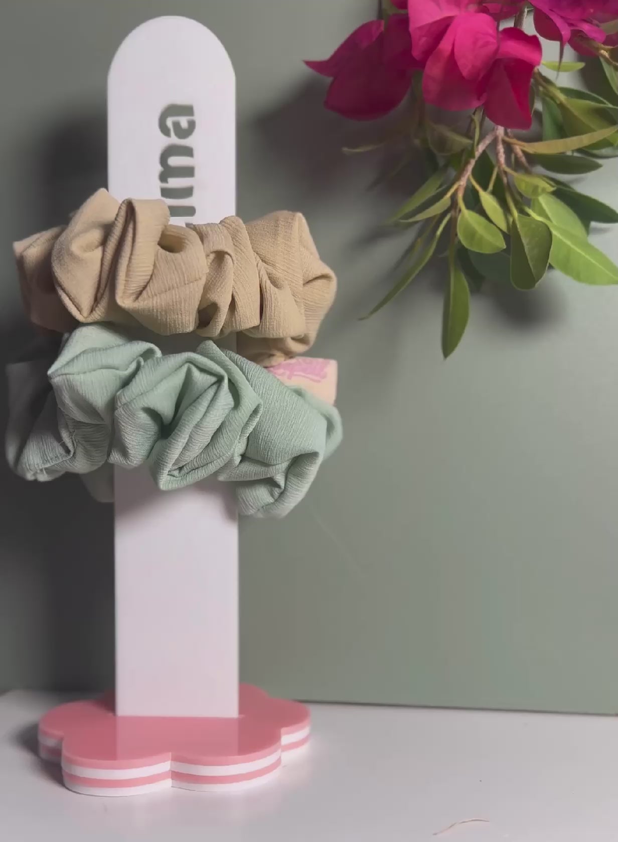 The STACK'D Petite Bundle